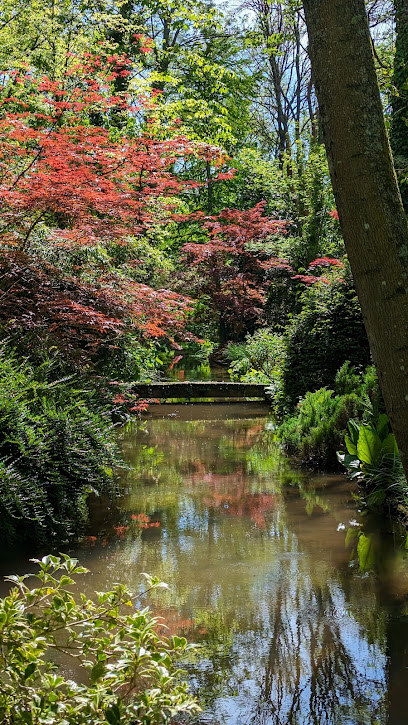 Jardin arboretum d'Ilex
