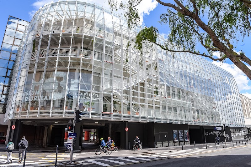 MOBE - Muséum d'Orléans pour la Biodiversité et l'Environnement